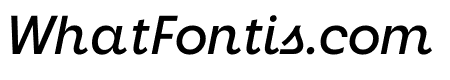 Neighbor Medium Italic