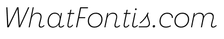 Neighbor Thin Italic