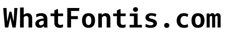 Darkmode Mono Off Bold