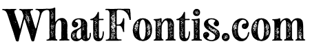 Neato Serif Regular