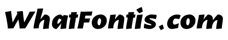 Karol Sans Black Italic