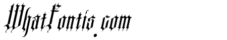 SANISTER-italic