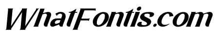 Next Person Italic