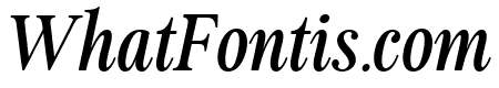 The Maginia  Italic