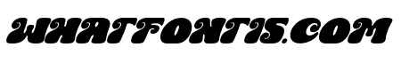 Space Majestic Italic