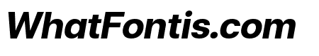 FC Iconic Bold Italic