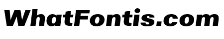 Solina ExtendedBlackItalic