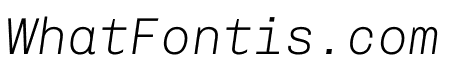 Chivo Mono 100italic