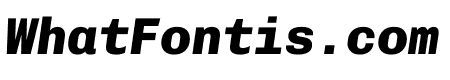 Chivo Mono 800italic