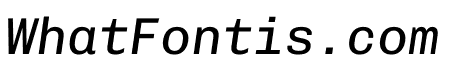 Chivo Mono Italic