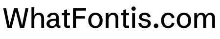 Schibsted Grotesk 500