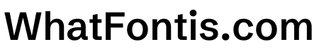 Schibsted Grotesk 600