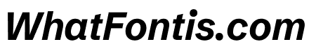 Schibsted Grotesk 700italic