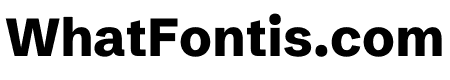 Schibsted Grotesk 800