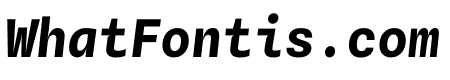 Spline Sans Mono 700italic