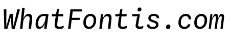 Spline Sans Mono Italic