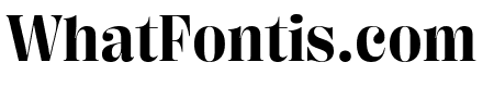 PP Right Didone   Bold