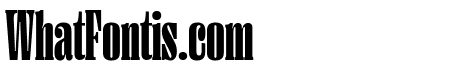 PP Right Serif   Tall Black