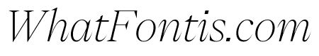 PPEiko ThinItalic