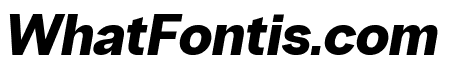 PPRadioGrotesk BlackItalic