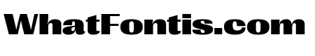 PPRightGothic SpatialBlack