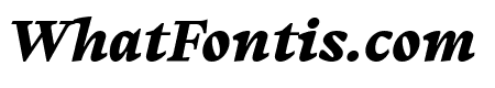 PPWriter BlackItalic
