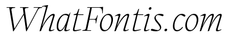 PPWriter ThinItalic