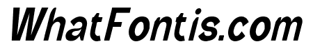 Wild Bandit Italic