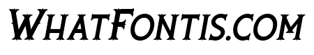 Rooters-Italic