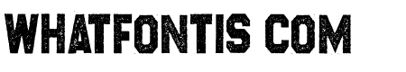 CROSSROADS CONDENSED PERSONAL USE Regular