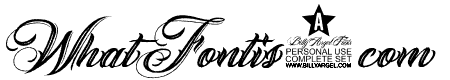 ANGELES ROUGH PERSONAL USE Bold Italic