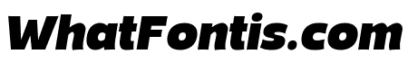 Mensch BlackItalic 1