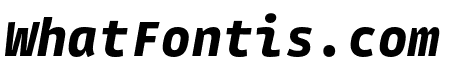 Gintronic Black Italic