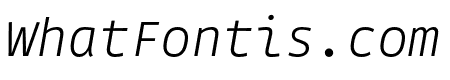 Gintronic Thin Italic