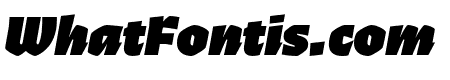 Ferryman Black Italic