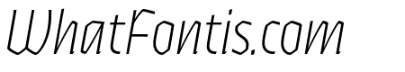 Ferryman Thin Italic