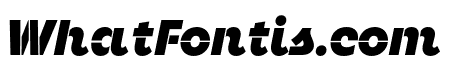 Neighbor Stencil Black Italic