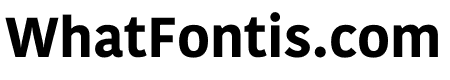 Kohinoor Gujarati Bold