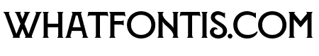 Montecatini Pro Ampio Bold