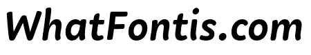 Fillip Medium Italic