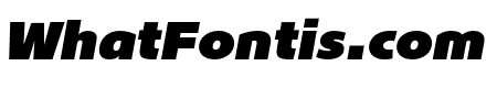 Lotus Eden Black Italic