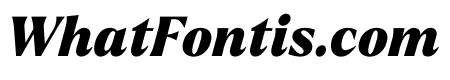 Larken Black Italic