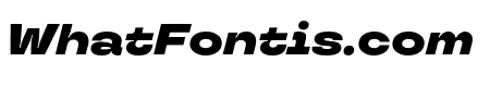 TT Travels Next Black Italic