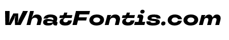 TT Travels Next ExtraBold Italic
