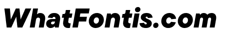 TT Commons Pro Black Italic