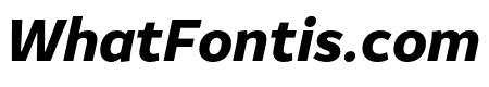 Amifer Bold Italic