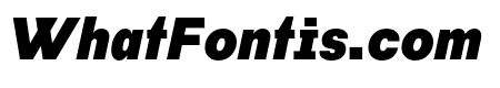 Habitas Black Italic