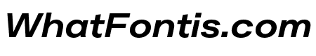 Plaid L Italic