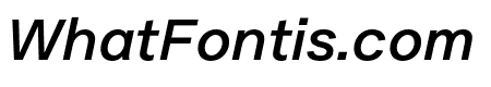 Plaid M Italic