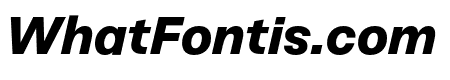 Sneak Black Italic
